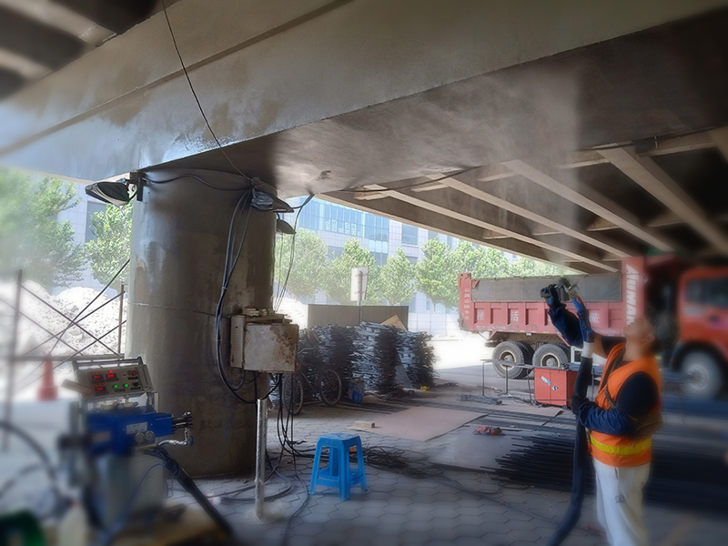 WHAT IS THE FUNCTION OF THE POLYUREA COATING OF THE OVERPASS?